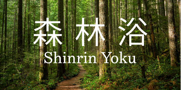 Titelbild eines schönen Waldweges mit chinesischen Schriftzeichen