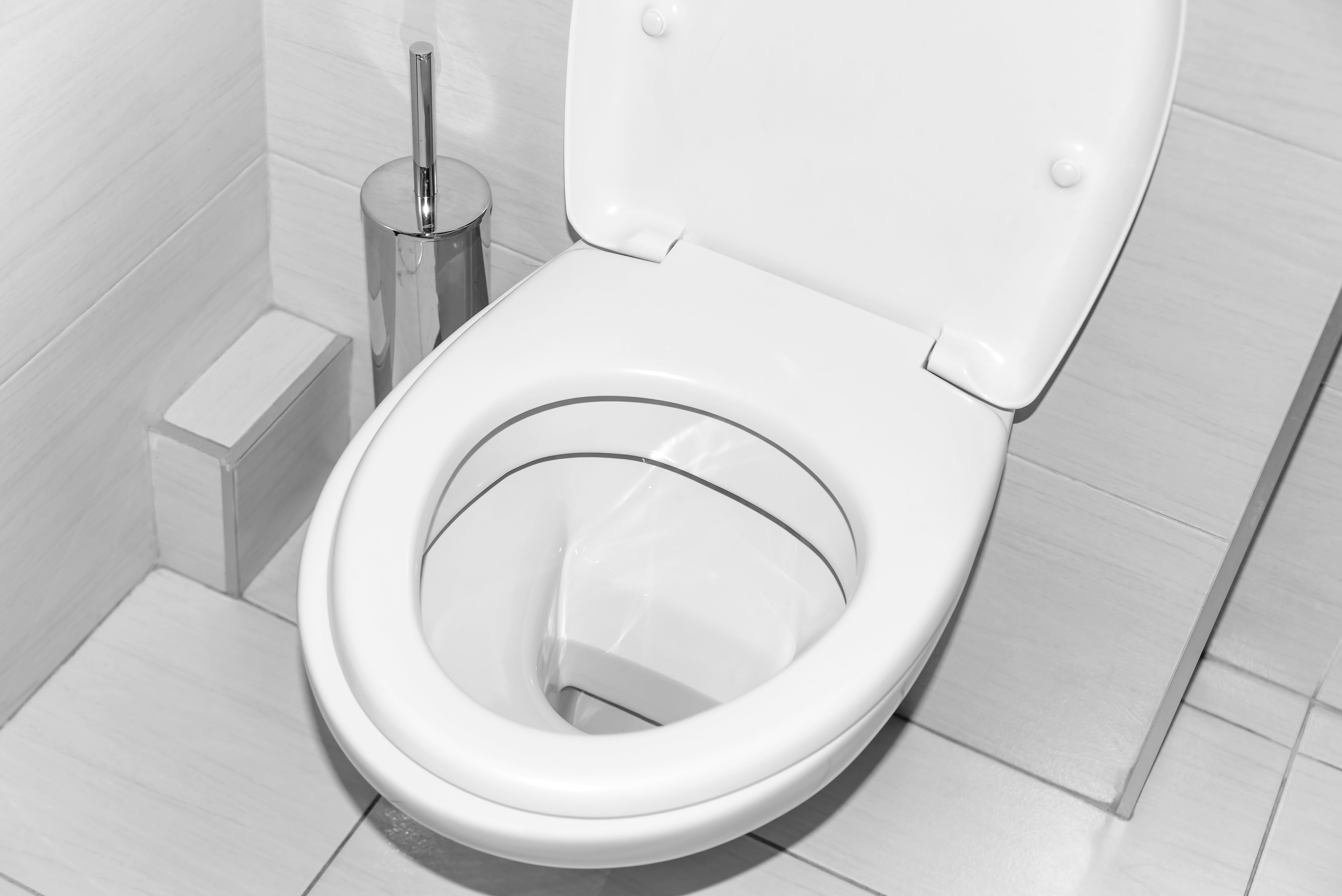 Ein weiß gefliestes Bad mit einer geöffneten weißen Toilettenschüssel und silberfarbigen Toilettenbürste