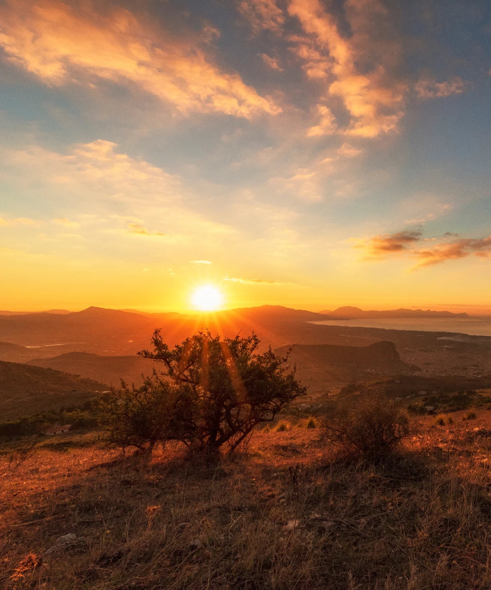 Sunshine in a Bottle Refill