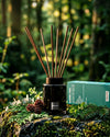 Shinrin Yoku Raumduft mit Duftstäbchen von Oskari umrahmt von Waldvegetation