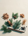 Breathe the Forest Refill