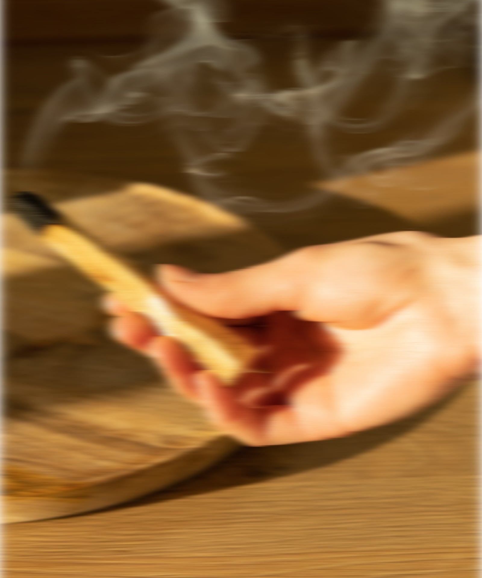Palo Santo Fusion & Refill